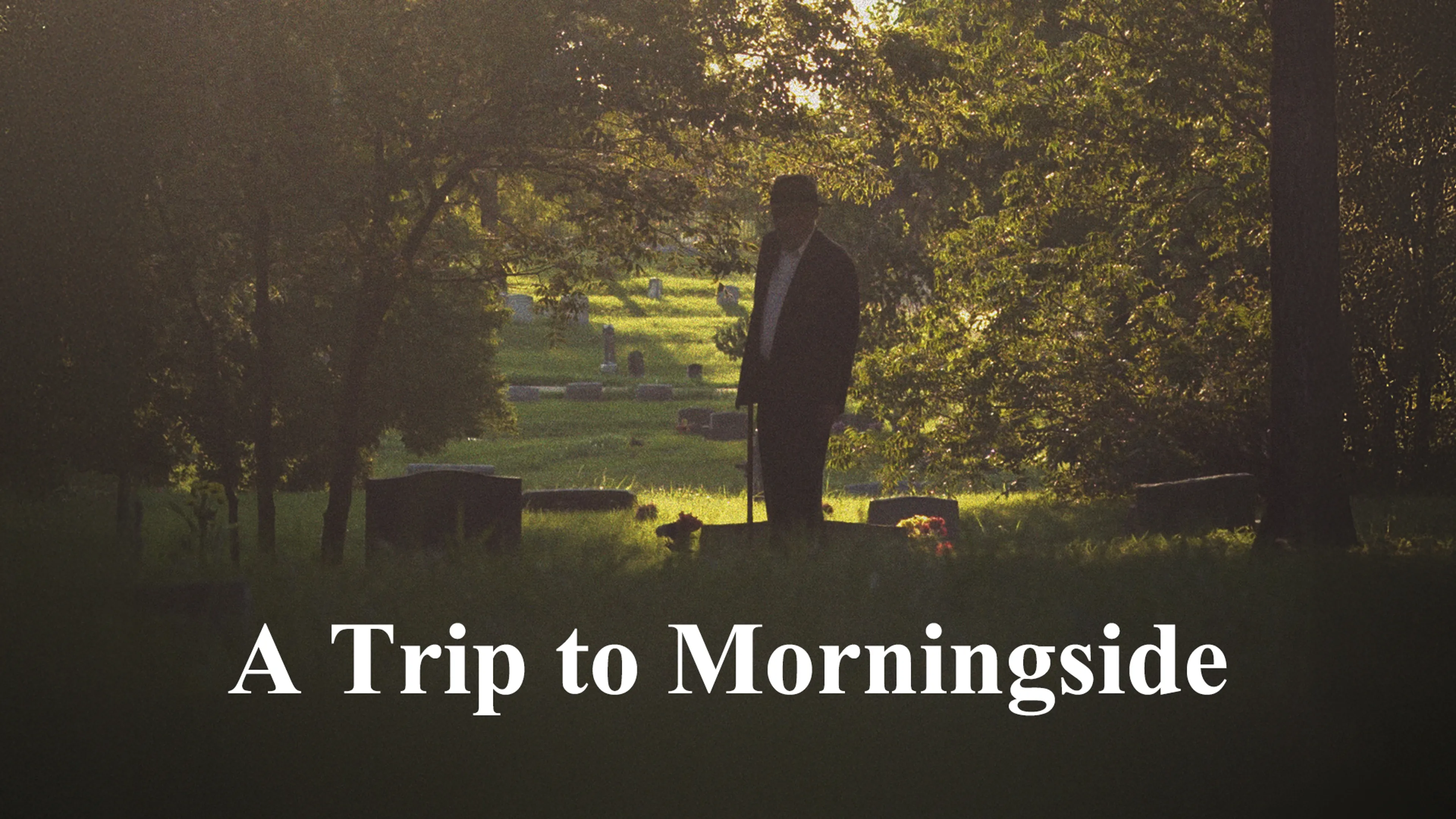 A Trip to Morningside poster